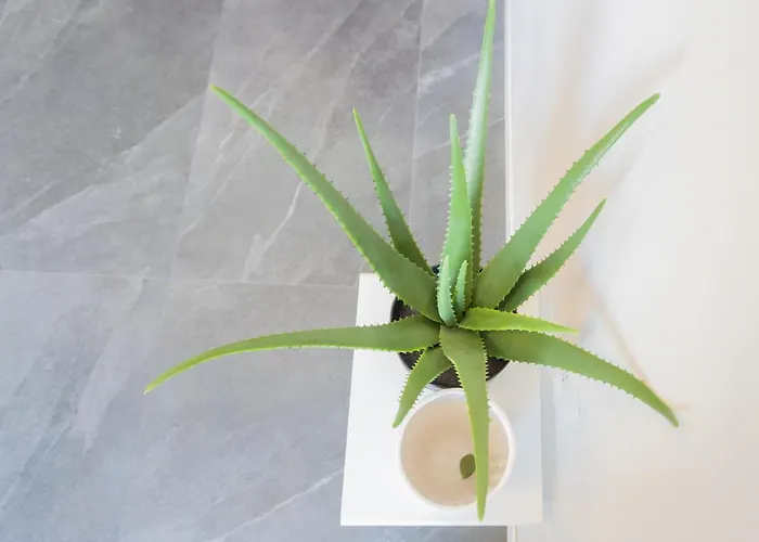 Sant'agostino By Rent Daire