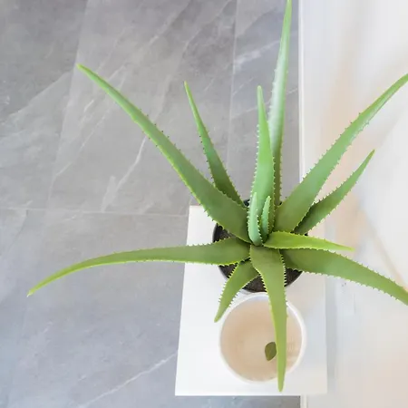 Sant'agostino By Rent 公寓